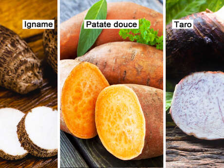 Yam / Sweet potato / Taro