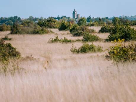 25- Le causse de Combelles