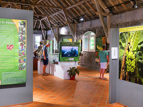 Musée de la Banane