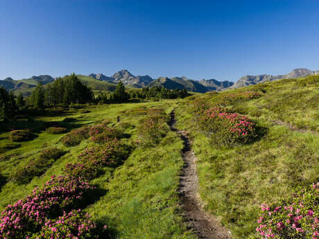 Balade d'altitude Beille-Piparlan