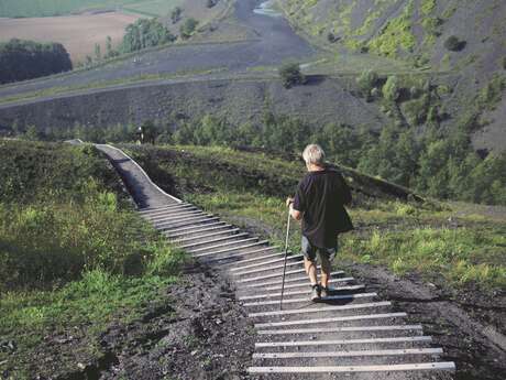 Les Noirs Monts