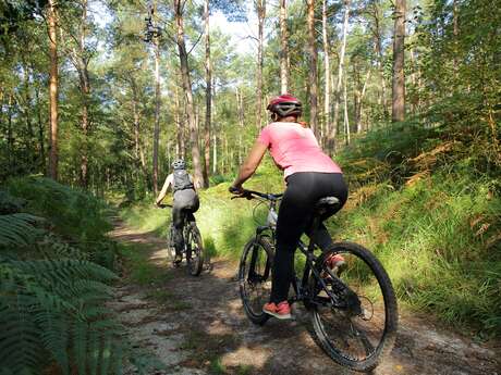 Circuit VTT 16 - La Gione