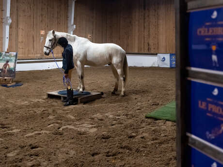 Hippoconférence Hippoconférence