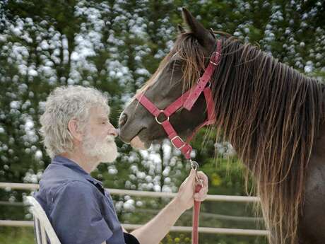 ATELIER RELAXATION AUPRÈS DES CHEVAUX