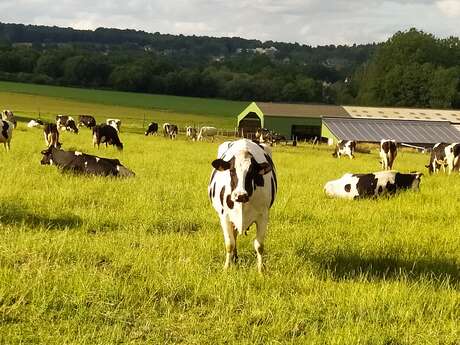 La ferme de La Bernudière