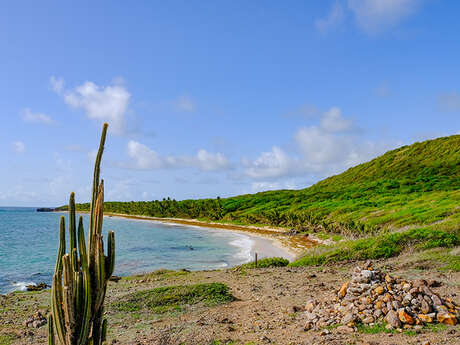 Plage de l'Anse Grosse Roche