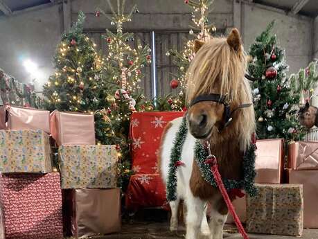 Marché de Noël à la Ferme Noisette au beau Thym