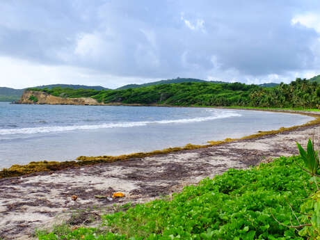 Plage de Petit Macabou