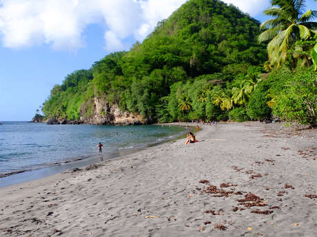 Plage de l'Anse Céron