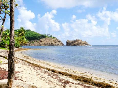 Plage de l'Anse Azérot