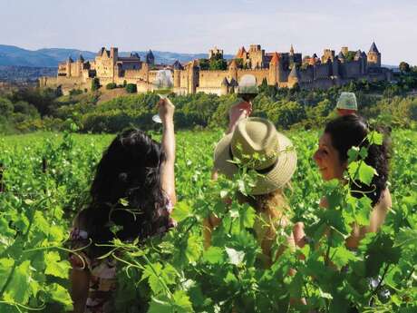BALADES VIGNERONNES EN GRAND CARCASSONNE - DOMAINE SAINT-MARTIN BALADES VIGNERONNES EN GRAND CARCASSONNE - DOMAINE SAINT-MARTIN