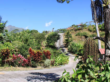 Plantation Beauvallon