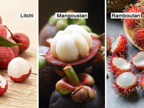 Lychee / Mangosteen / Rambutan