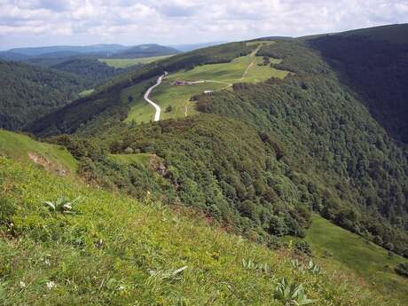 Circuit n°9 : Gérardmer - Col de la Schlucht