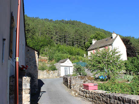 Vallée du Lot autour de Changefège - VTT N°4