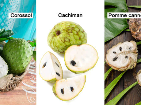 Soursop / Custard apple / Sugar apple