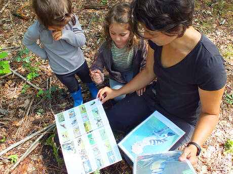 ATELIER AU COEUR DE LA NATURE