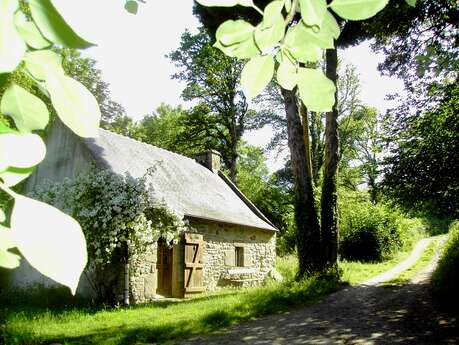 Gîte La Salamandre