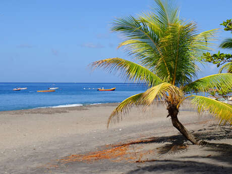 Plage de Grande Anse (Le coin Nord)