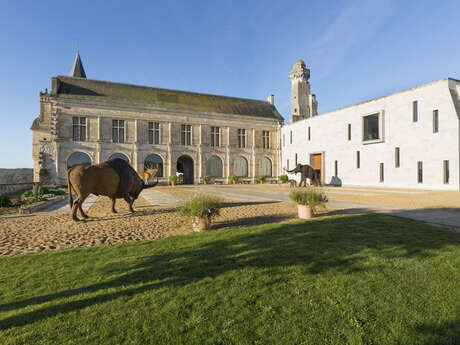 MUSEE DE LA PRÉHISTOIRE DU GRAND-PRESSIGNY