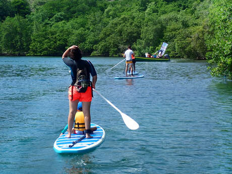 Sun & Sup (Balades en paddle)