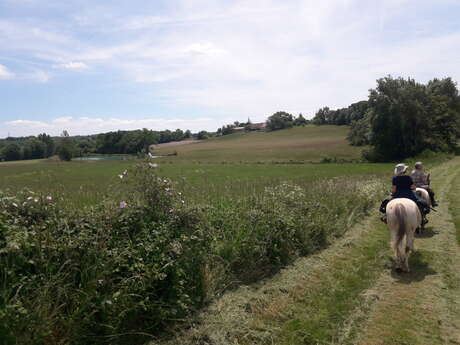 En Quercy Blanc - 5 jours à cheval En Quercy Blanc - 5 jours à cheval