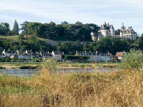 Rando Chaumont-sur-Loire - Les Frileuses