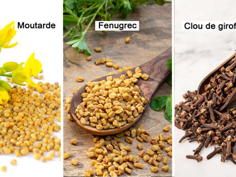 Mustard / Fenugreek / Cloves