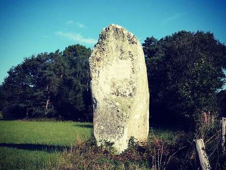 Menhir de la Pierre Longue