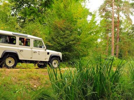 Visite du parc forestier en 4x4