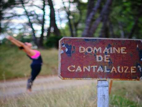 YOGA ET VIN UNE JOURNEE DETENTE AU COEUR DU VIGNOBLE YOGA ET VIN UNE JOURNEE DETENTE AU COEUR DU VIGNOBLE
