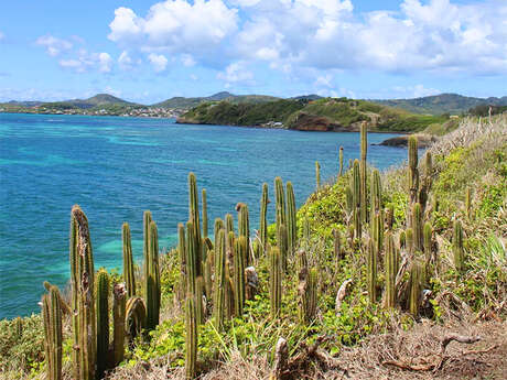 Madinina Travel - Organisateur de voyage