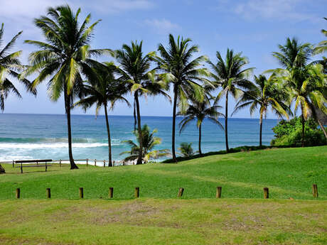 Plage de l'Anse Charpentier