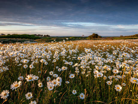 Pascal Lechaudel, photographe