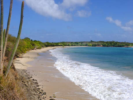 Plage des Petites Salines