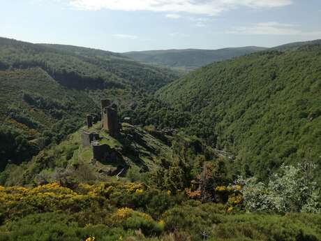 CHATEAU DU TOURNEL