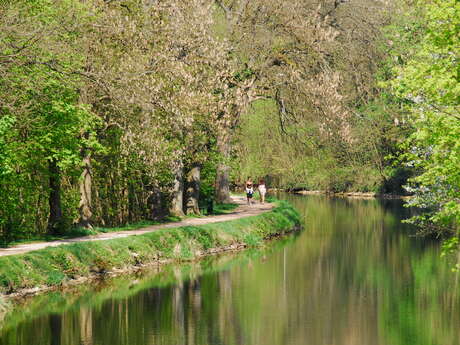 Circuit Le Canal et la voie romaine