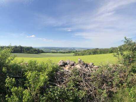 Hiking in the Côte Chalonnaise