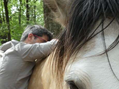 SEANCE D'EQUITHERAPIE