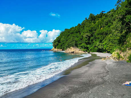 Plage de l'Anse Couleuvre