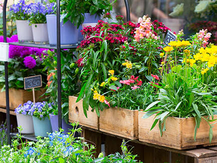 Fête des jardins