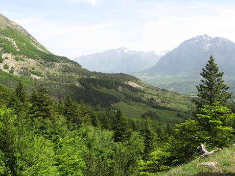 Sentier botanique Dominique Villars Sentier botanique Dominique Villars