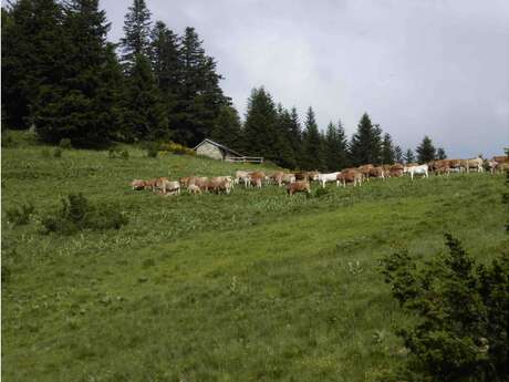 Itinerario - Desde el puente Rial al Col de Joux