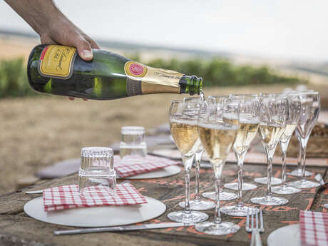 Champagne Dumont, Domaine de Mondeville Champagne Dumont, Domaine de Mondeville