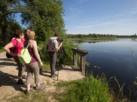 PARQUE NATURAL REGIONAL DE BRENNE