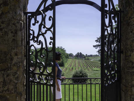 Visite de la vigne au Chai