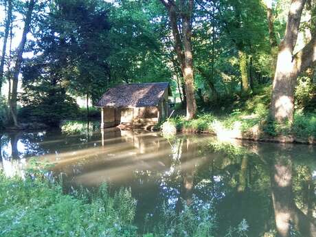 Entre Village et forêt de Chambon-sur-Cisse