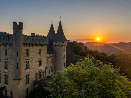 Château de Puymartin