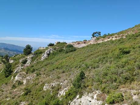 A fond les Vallons A fond les Vallons