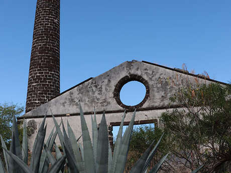 Zarlor guided hike along the Zabitan Trail - Sugar factory ruins